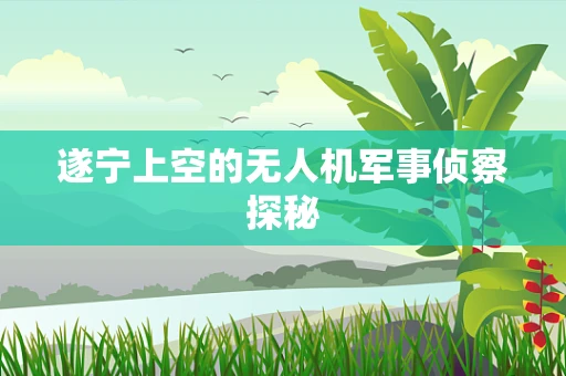 遂宁上空的无人机军事侦察探秘