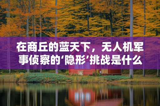在商丘的蓝天下，无人机军事侦察的‘隐形’挑战是什么？