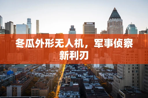 冬瓜外形无人机，军事侦察新利刃