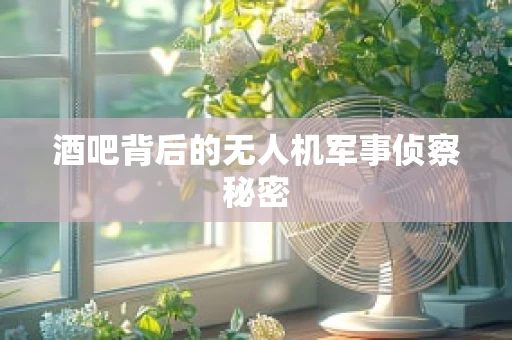 酒吧背后的无人机军事侦察秘密