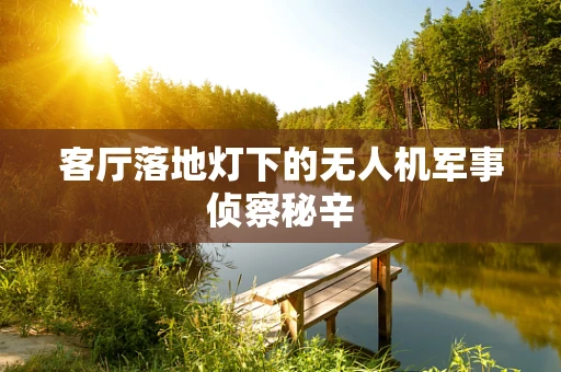 客厅落地灯下的无人机军事侦察秘辛
