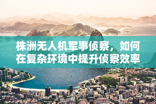 株洲无人机军事侦察，如何在复杂环境中提升侦察效率？