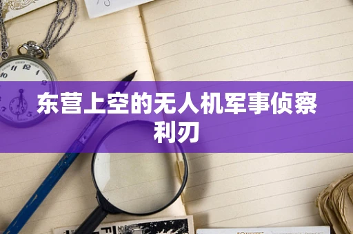 东营上空的无人机军事侦察利刃