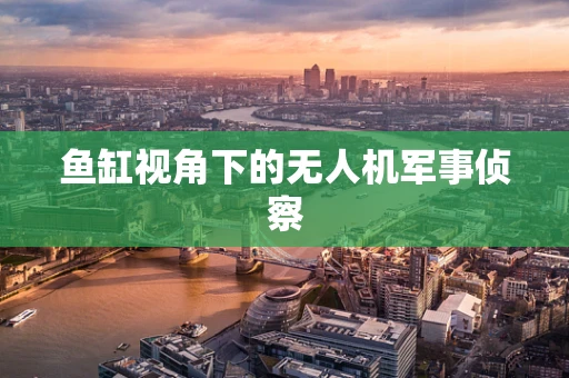 鱼缸视角下的无人机军事侦察