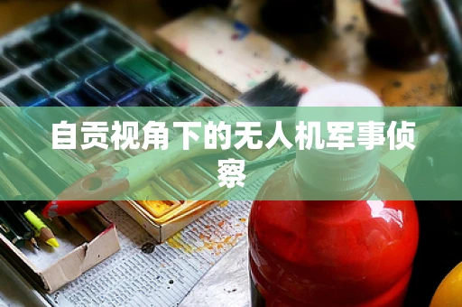 自贡视角下的无人机军事侦察