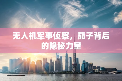 无人机军事侦察，茄子背后的隐秘力量