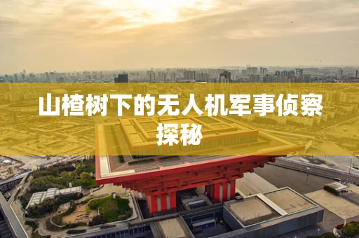 山楂树下的无人机军事侦察探秘