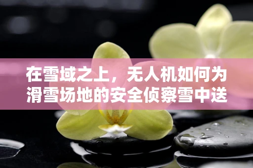 在雪域之上，无人机如何为滑雪场地的安全侦察雪中送炭？