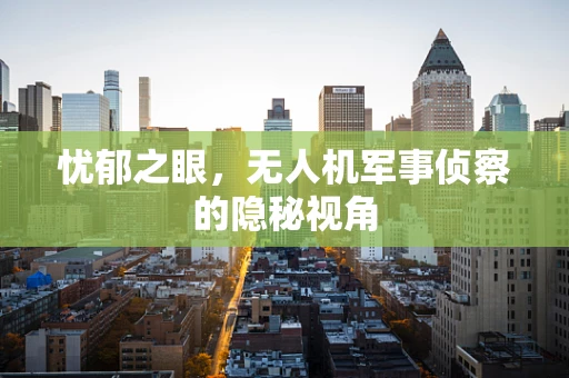 忧郁之眼，无人机军事侦察的隐秘视角