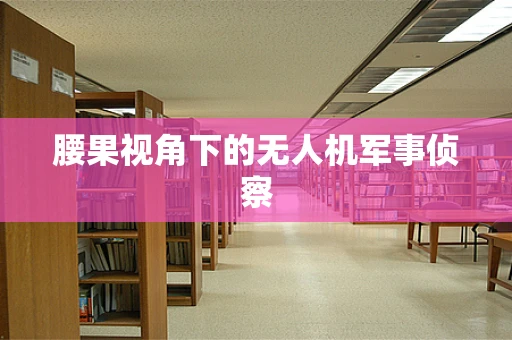 腰果视角下的无人机军事侦察