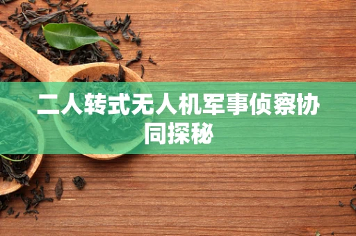 二人转式无人机军事侦察协同探秘