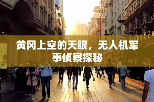黄冈上空的天眼，无人机军事侦察探秘