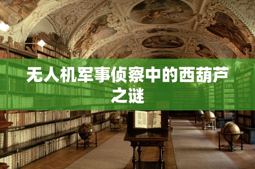 无人机军事侦察中的西葫芦之谜