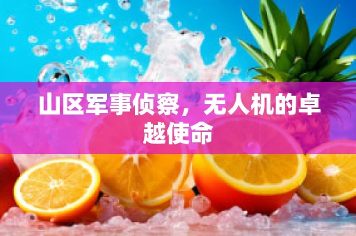 山区军事侦察，无人机的卓越使命
