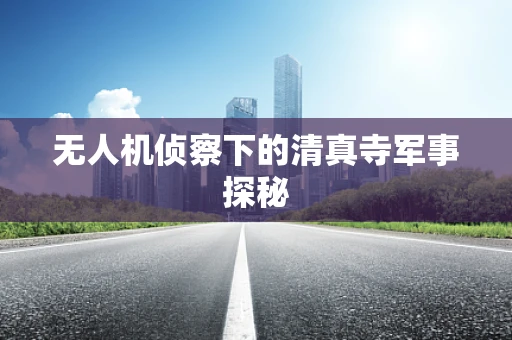 无人机侦察下的清真寺军事探秘