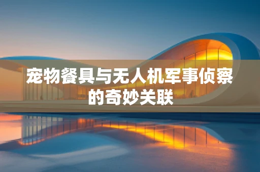 宠物餐具与无人机军事侦察的奇妙关联