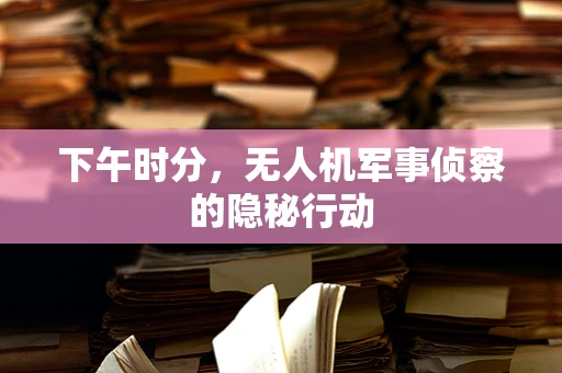 下午时分，无人机军事侦察的隐秘行动