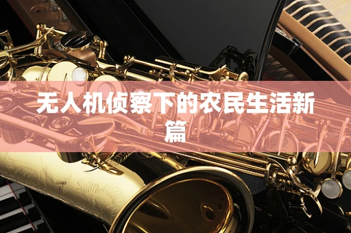 无人机侦察下的农民生活新篇