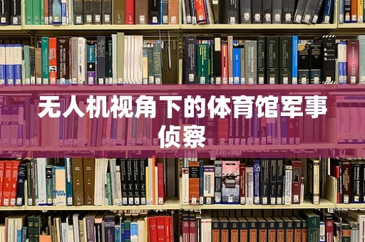 无人机视角下的体育馆军事侦察
