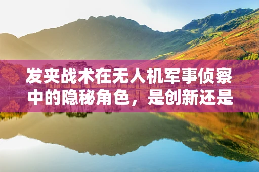 发夹战术在无人机军事侦察中的隐秘角色，是创新还是风险？