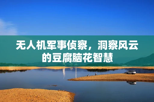 无人机军事侦察，洞察风云的豆腐脑花智慧