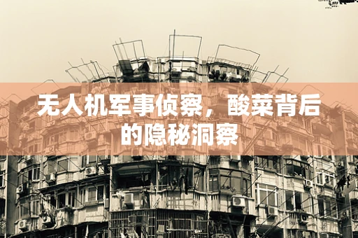 无人机军事侦察，酸菜背后的隐秘洞察