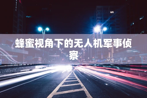 蜂蜜视角下的无人机军事侦察