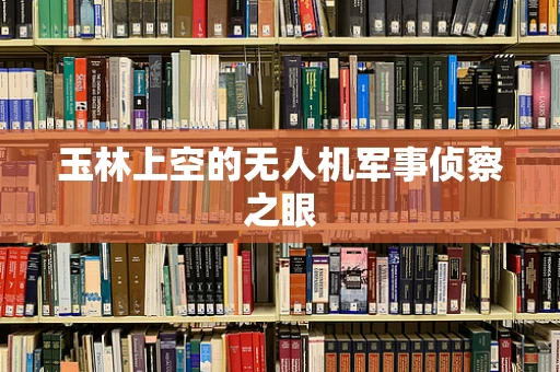 玉林上空的无人机军事侦察之眼