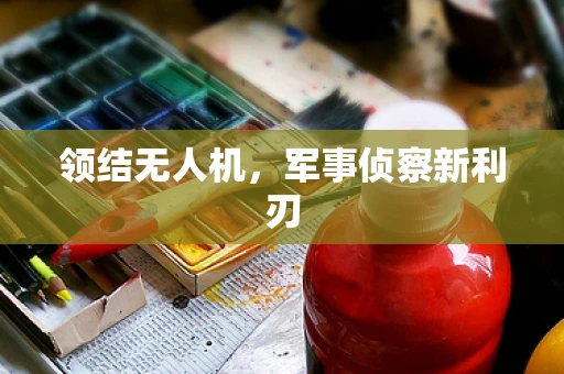 领结无人机，军事侦察新利刃