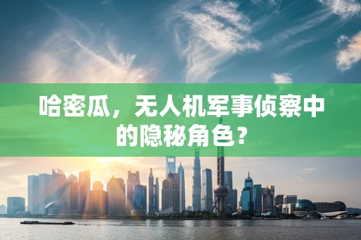 哈密瓜，无人机军事侦察中的隐秘角色？