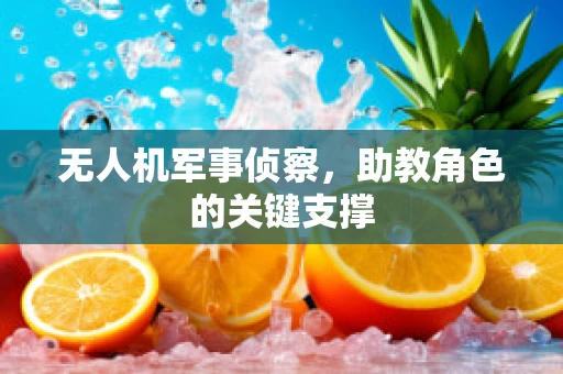 无人机军事侦察，助教角色的关键支撑