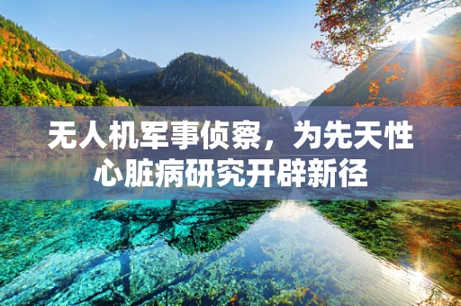 无人机军事侦察，为先天性心脏病研究开辟新径