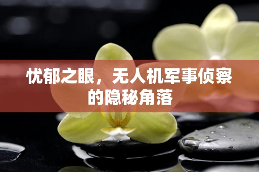 忧郁之眼，无人机军事侦察的隐秘角落