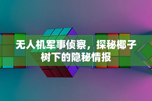 无人机军事侦察，探秘椰子树下的隐秘情报