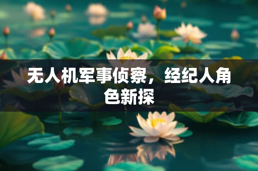 无人机军事侦察，经纪人角色新探