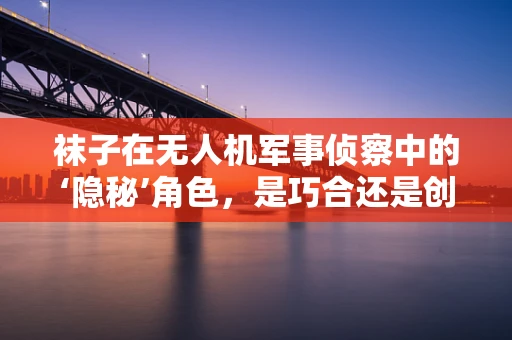 袜子在无人机军事侦察中的‘隐秘’角色，是巧合还是创新？
