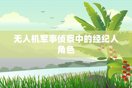 无人机军事侦察中的经纪人角色