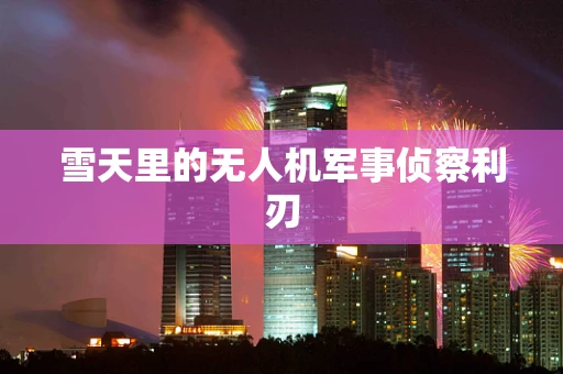 雪天里的无人机军事侦察利刃