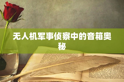无人机军事侦察中的音箱奥秘