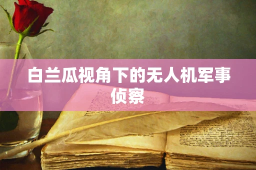 白兰瓜视角下的无人机军事侦察