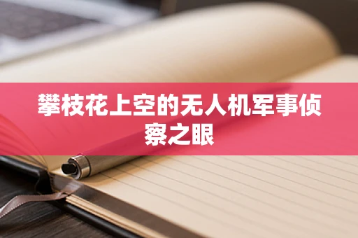 攀枝花上空的无人机军事侦察之眼