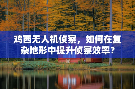 鸡西无人机侦察，如何在复杂地形中提升侦察效率？