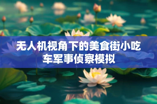无人机视角下的美食街小吃车军事侦察模拟