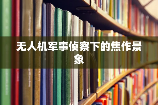 无人机军事侦察下的焦作景象