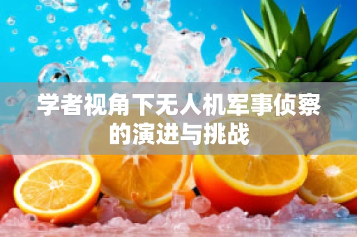 学者视角下无人机军事侦察的演进与挑战