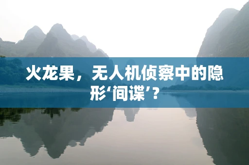 火龙果，无人机侦察中的隐形‘间谍’？