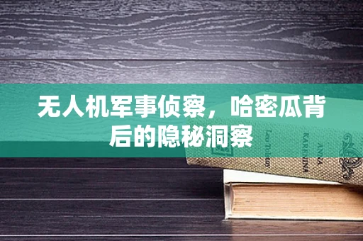 无人机军事侦察，哈密瓜背后的隐秘洞察