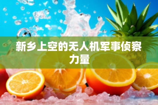 新乡上空的无人机军事侦察力量