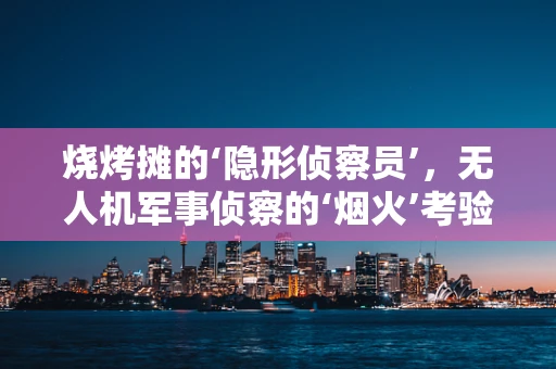 烧烤摊的‘隐形侦察员’，无人机军事侦察的‘烟火’考验