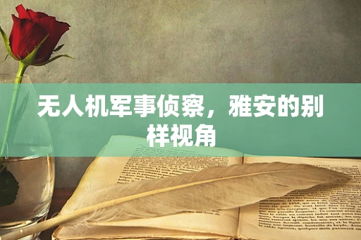 无人机军事侦察，雅安的别样视角